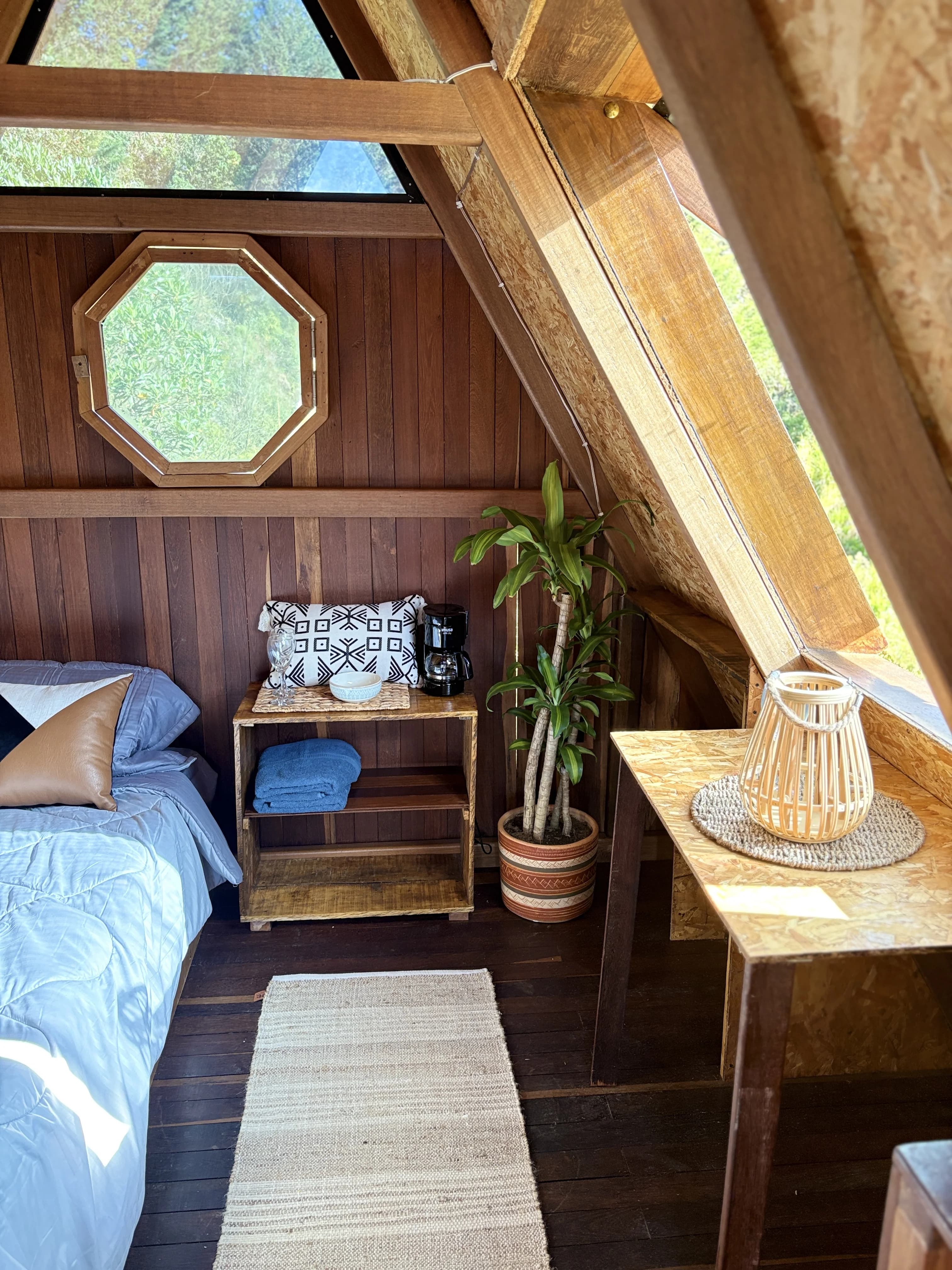 Sala interior con plantas