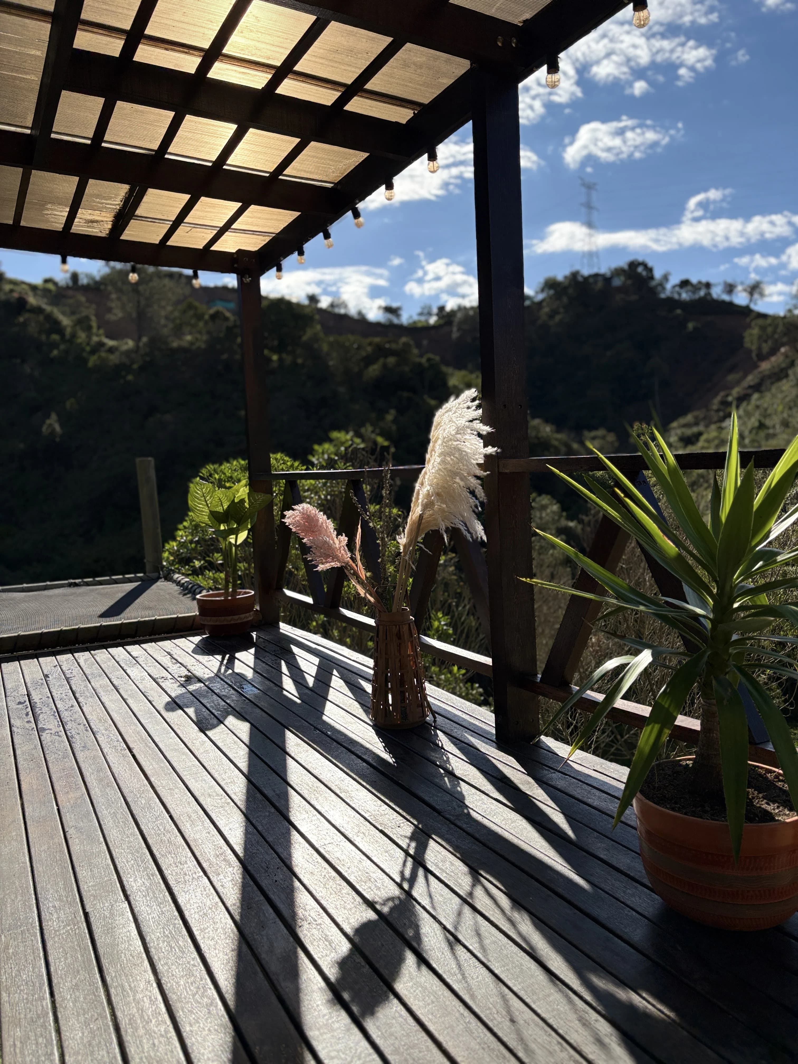 Terraza con pampas y vista al valle